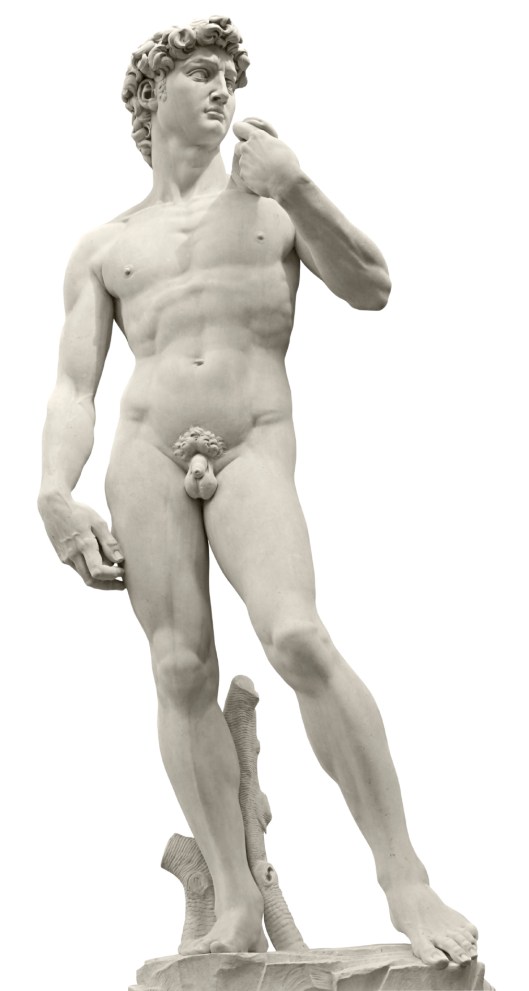 Michelangelo's David  with clipping path
