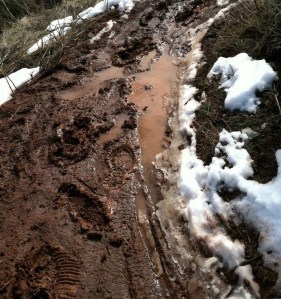 muddy trails