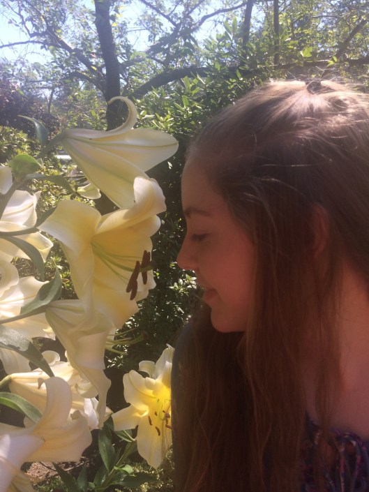 butchart flower ellie